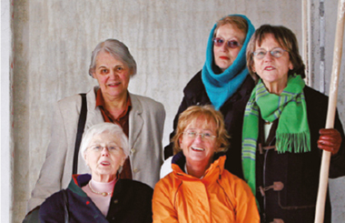 Kopf eines Lamas, das in die Kamera schaut