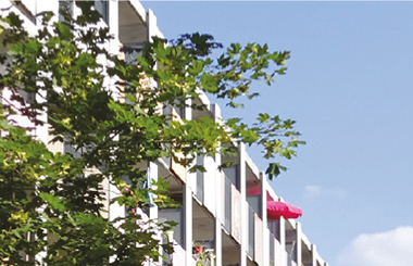 Detail Titel unseres Buches Frauenwohnen im Alter, rot in rot mit einer griechischen Frauenstatue mit Blick nach links