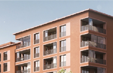 Kopf eines Lamas, das in die Kamera schaut