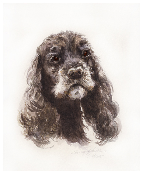 Lenny, Cockerspaniel, Hundeportrait in Aquarell