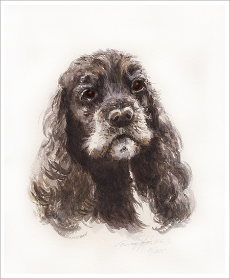 Lenny, Cockerspaniel, Hundeportrait in Aquarell