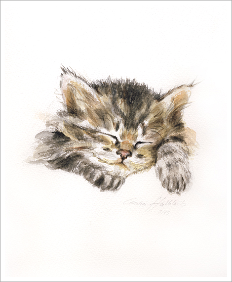 Lisi, Katzenportrait in Aquarell