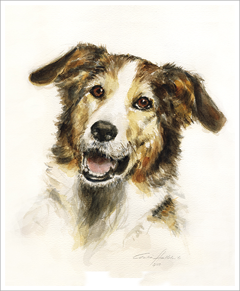 Rolo, Schäferhund, Hundeportrait in Aquarell